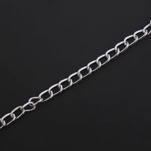 Load image into Gallery viewer, Bdsm Bondage Metal Nipple chains